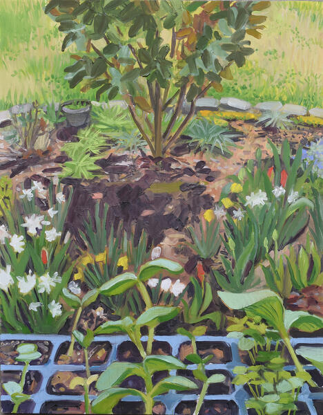 Oval Garden and Fava Sprouts